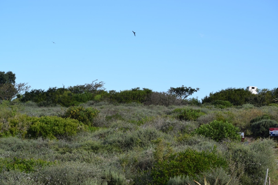 Commercial Property for Sale in Vleesbaai Western Cape